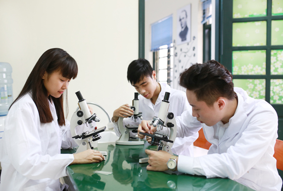 10 sự kiện năm học 2014 - 2015