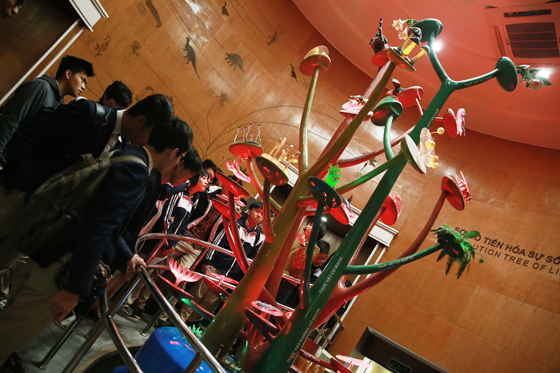 Buổi học tập trải nghiệm thú vị tại Bảo tàng thiên nhiên Việt Nam